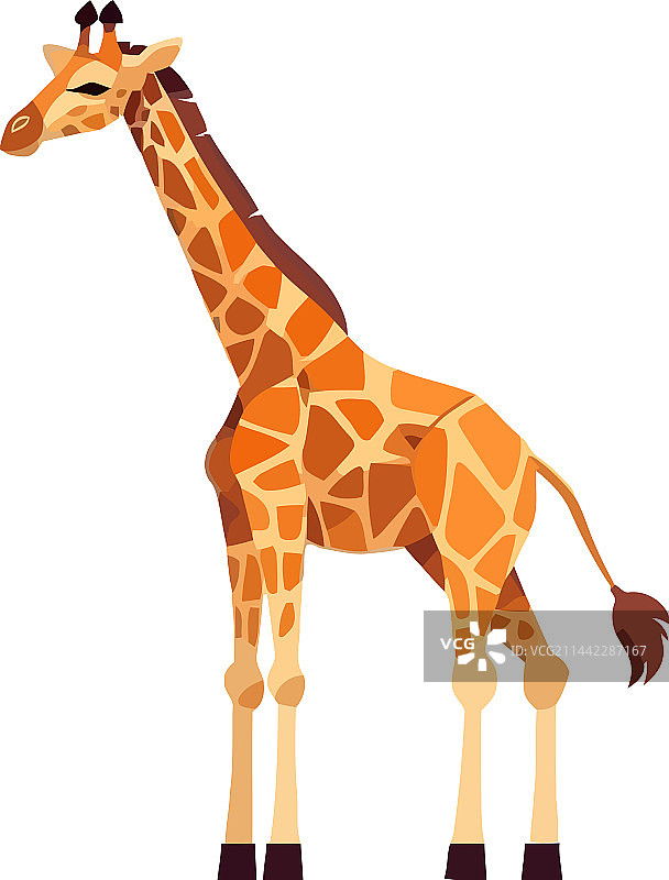 站在白色背景上的可爱长颈鹿图片素材