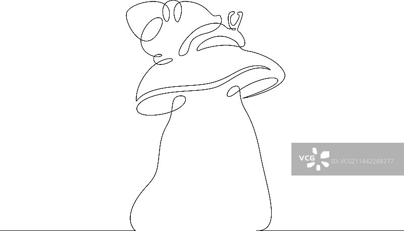 蜗牛爬过蘑菇盖图片素材