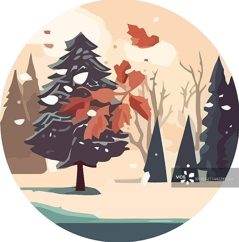 白雪覆盖的松树冬季森林景观图片素材