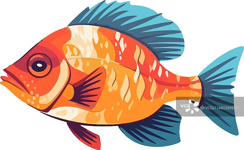 游泳的金鱼图片素材