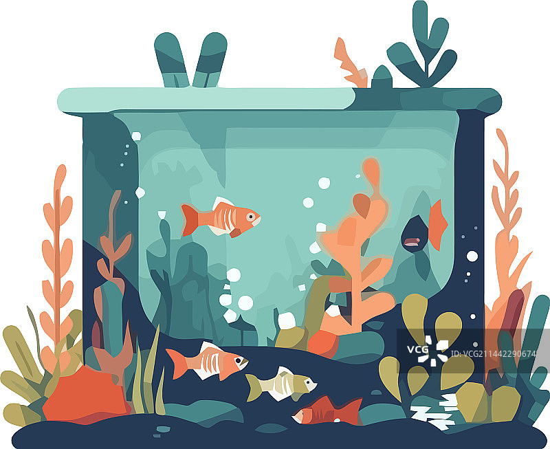 在水族馆里游泳的可爱水下动物图片素材