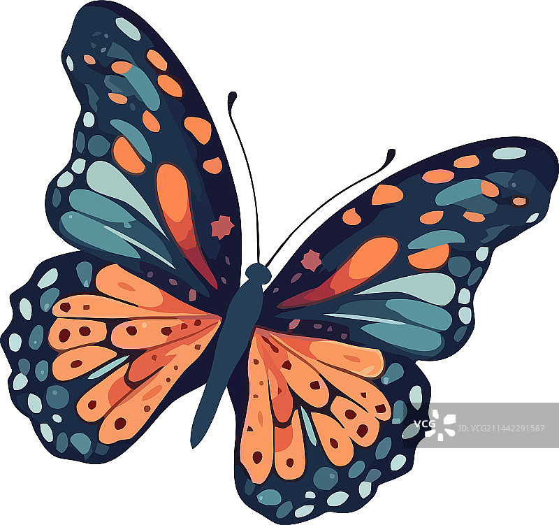 飞舞的蝴蝶翅膀，自然之美图片素材