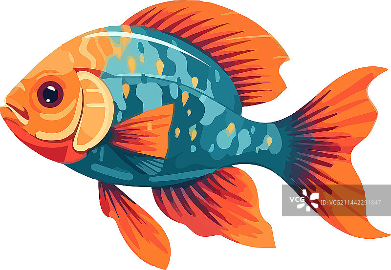 在水下天堂中游动的鱼图片素材