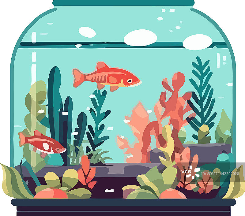 可爱的鱼在深水族馆中游泳图片素材