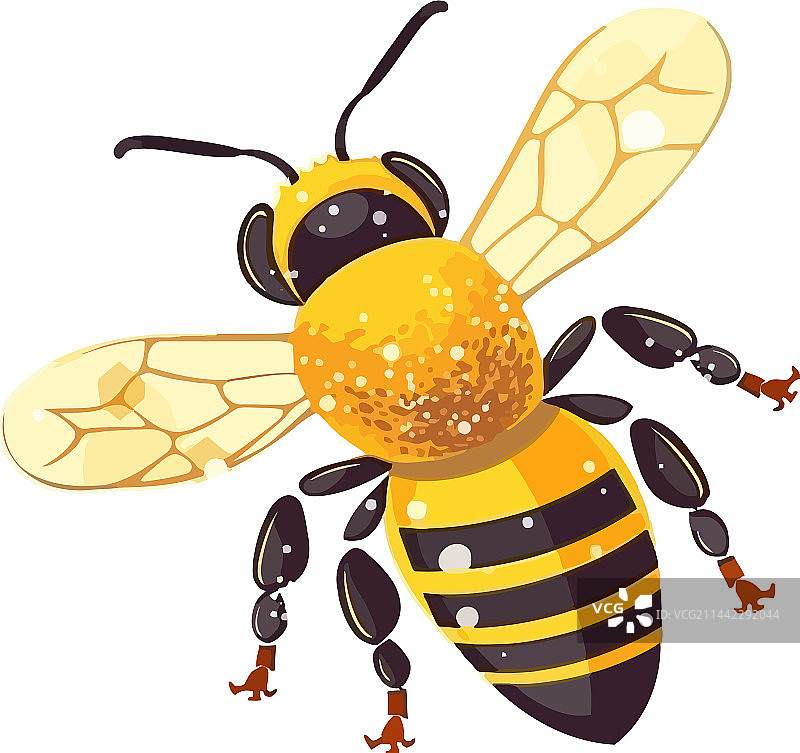 小蜜蜂图片素材
