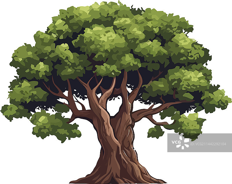 绿叶生长在树上图片素材