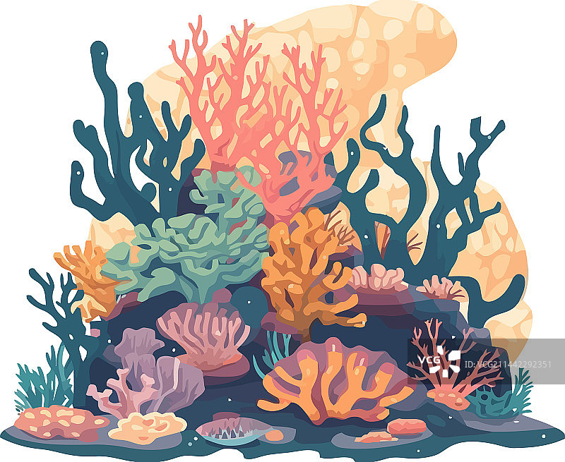 热带水下珊瑚景观图片素材