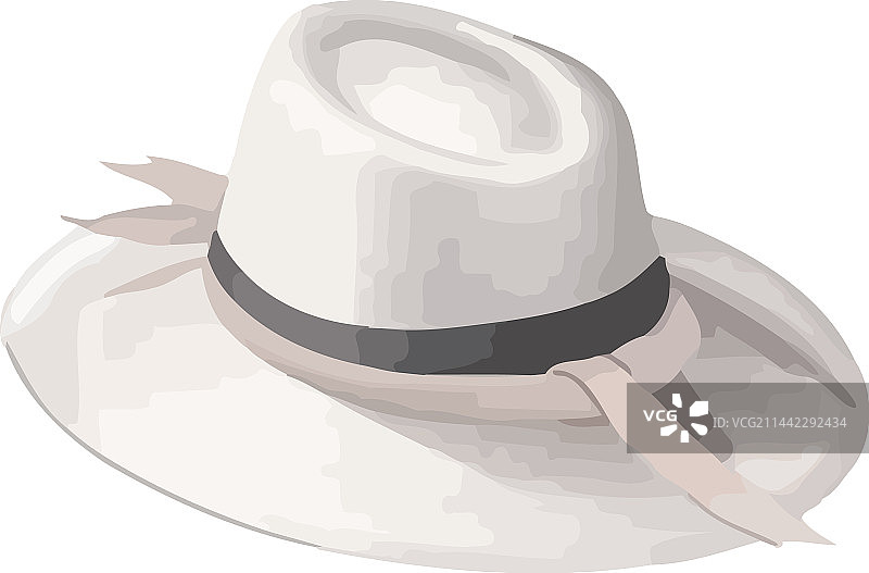 优雅的男士软呢帽，时尚的象征图片素材