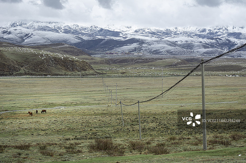 塔公草原@雅拉雪山图片素材