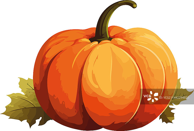 秋收时节新鲜成熟的南瓜图片素材
