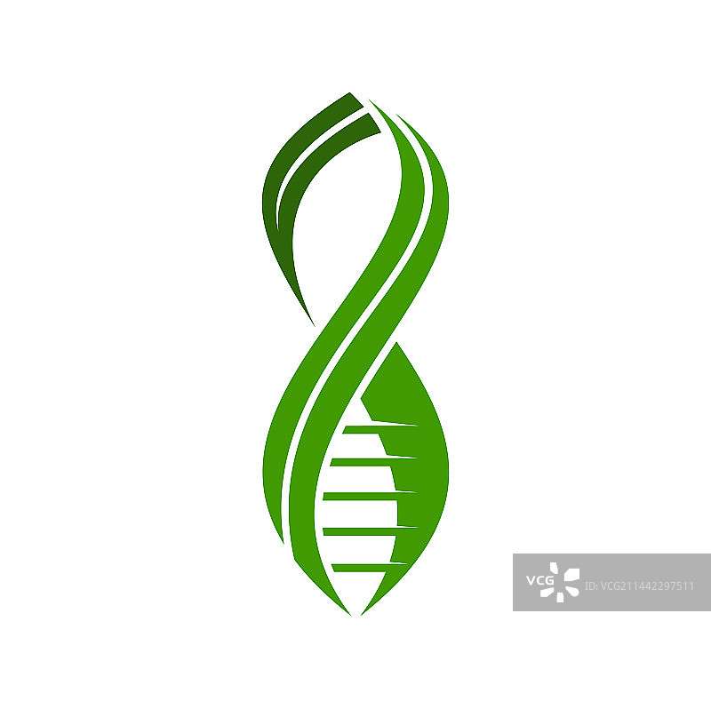 叶子DNA图标植物基因研究实验室标志图片素材