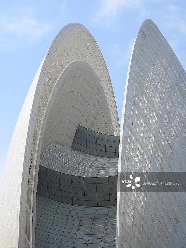 日月贝图片素材