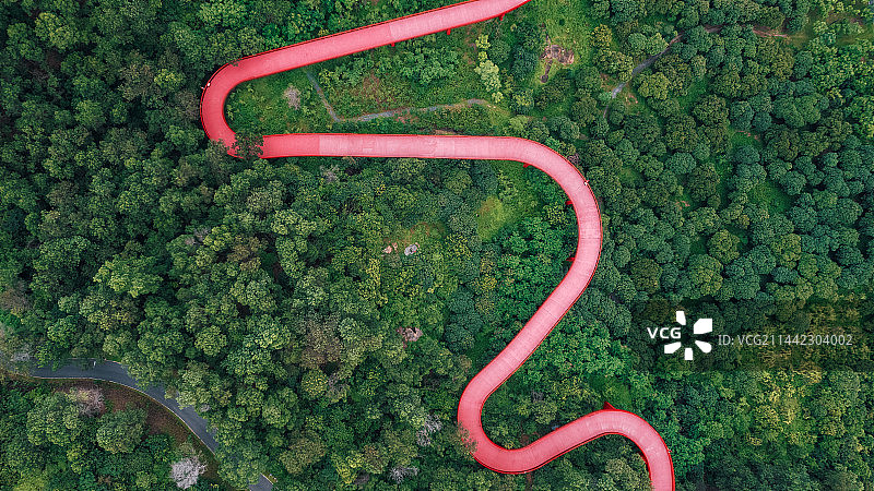 航拍深圳虹桥公园图片素材