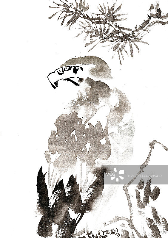 松下的雄鹰图片素材