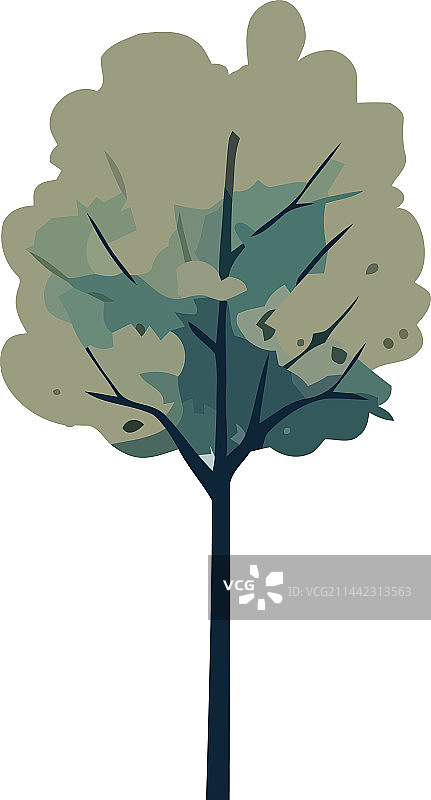 绿色树枝图片素材