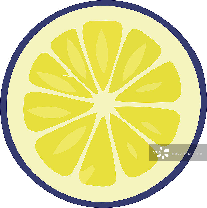 圆形排列的新鲜柑橘切片图片素材