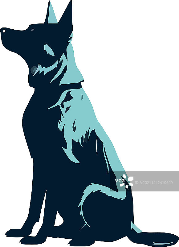 忠诚有趣的坐姿梗犬图片素材