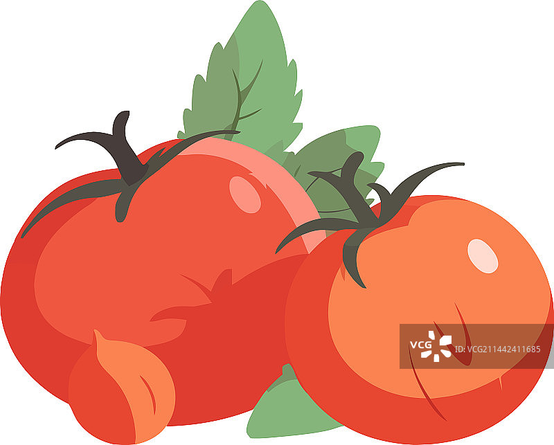 清爽的番茄沙拉午餐图片素材