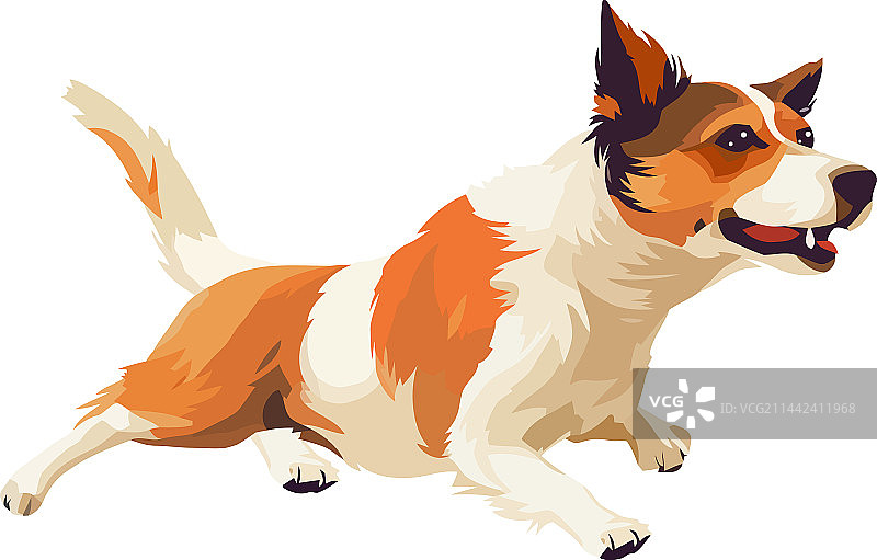 可爱的小梗犬坐着玩耍图片素材