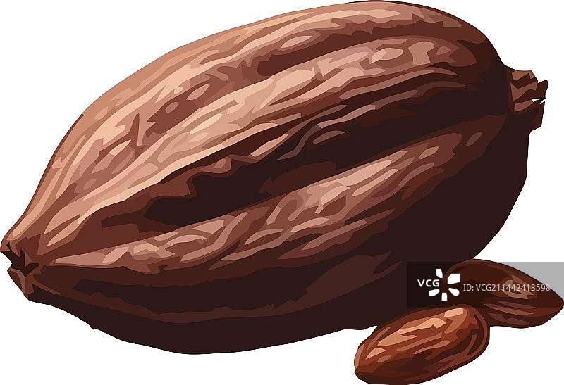 自然背景下的有机可可豆图片素材