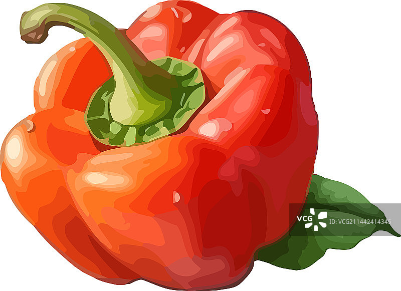 新鲜有机蔬菜甜椒图片素材