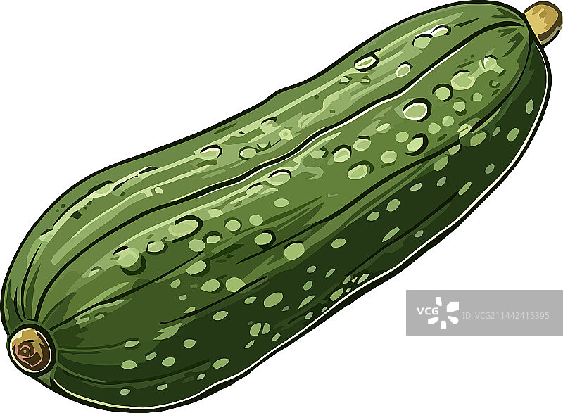 新鲜有机黄瓜健康素食零食图片素材