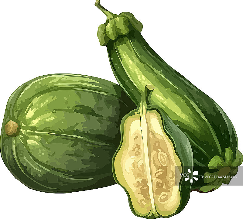 适合健康饮食的新鲜西葫芦图片素材