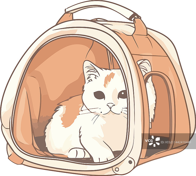 坐在包里的可爱小猫图片素材