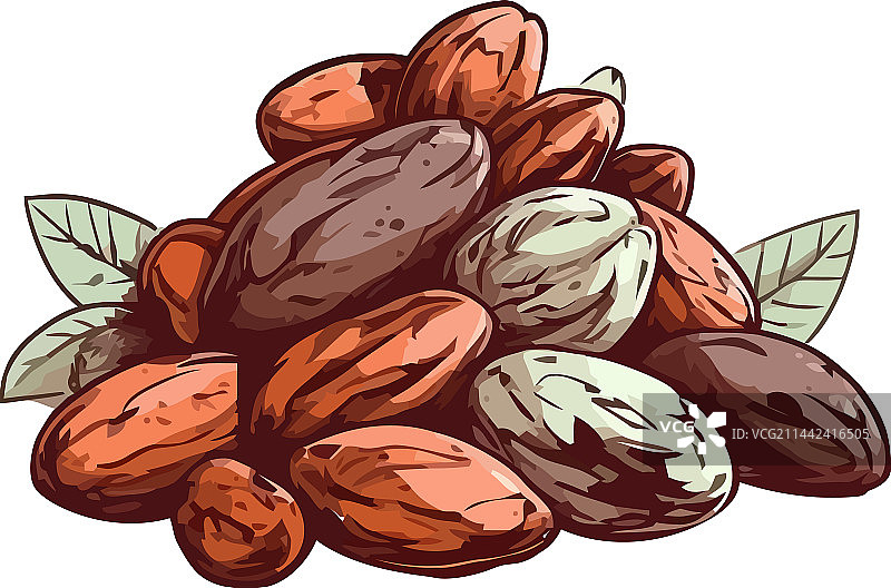 新鲜有机可可粉健康饮食图片素材