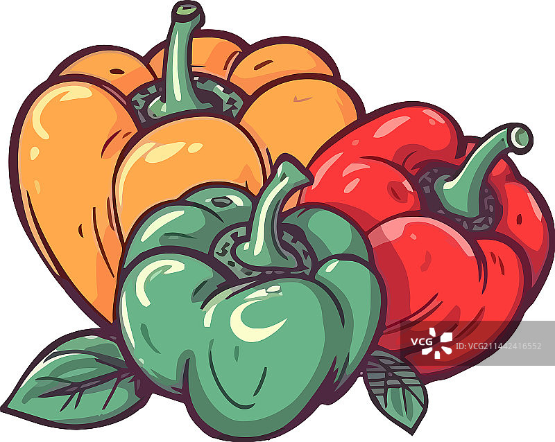 用于烹饪的新鲜有机辣椒图片素材