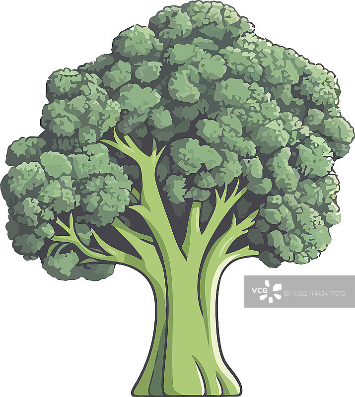 绿色西兰花蔬菜图片素材