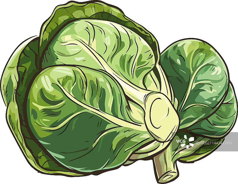 新鲜有机羽衣甘蓝沙拉，健康素食图片素材