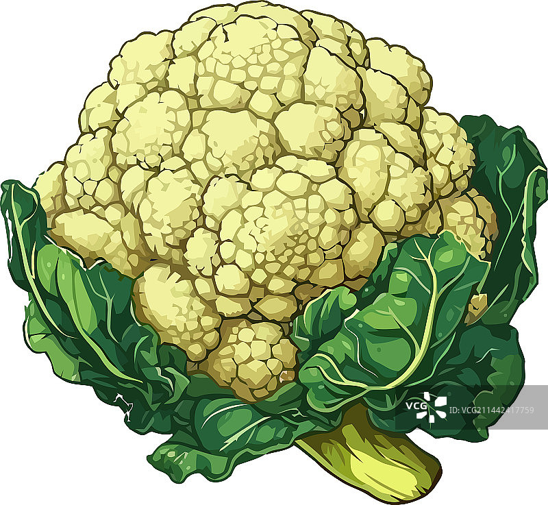 有益健康的的新鲜花椰菜和绿叶蔬菜图片素材