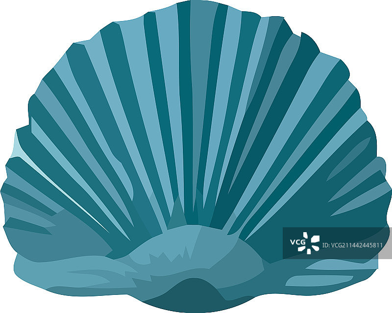 用于水下装饰的蓝色贝壳图片素材