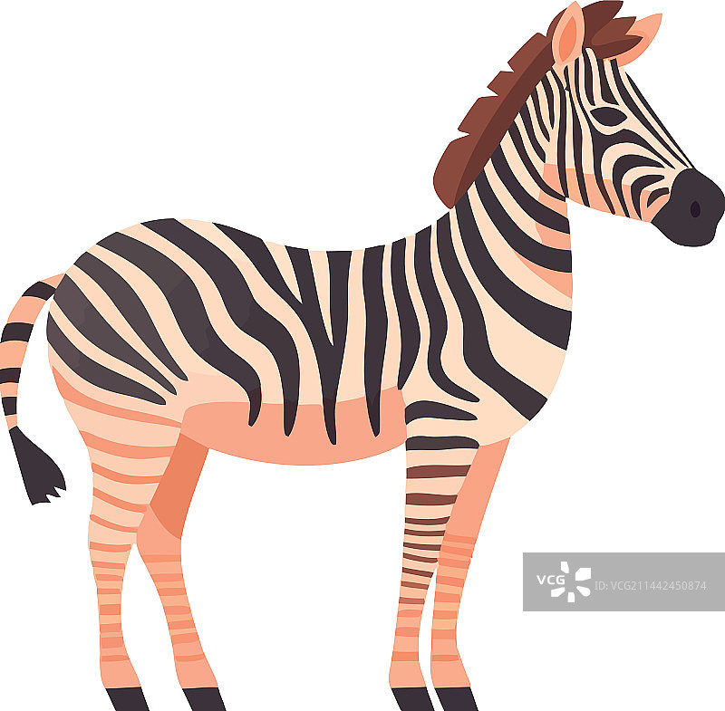 站在稀树草原上的条纹斑马图片素材