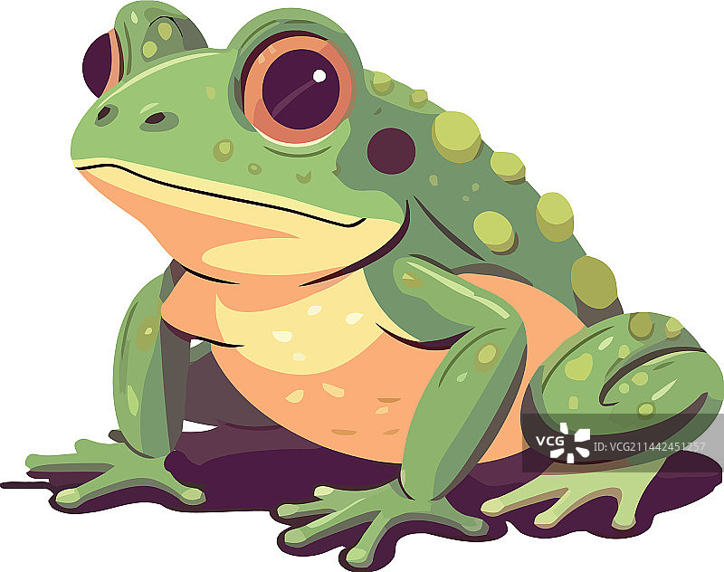 热带森林里的一只可爱蟾蜍图片素材