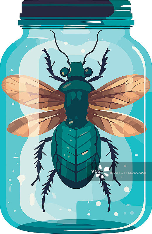 玻璃罐中的昆虫图片素材