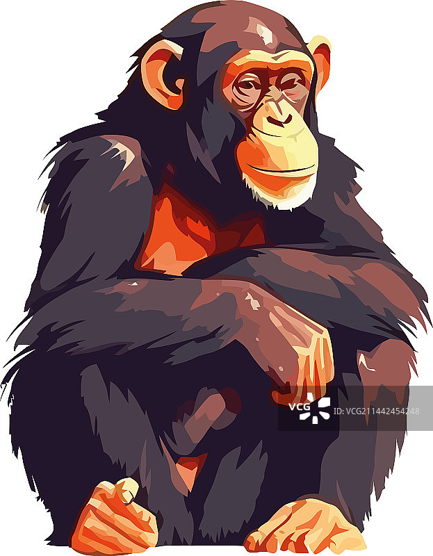 微笑的猴子吉祥物，可爱的灵长类动物图片素材