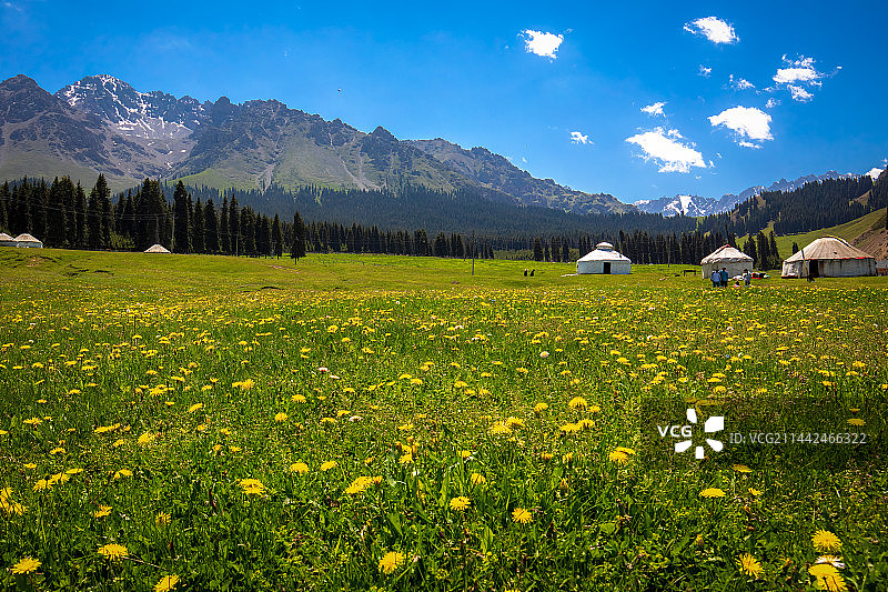 鹿角湾图片素材