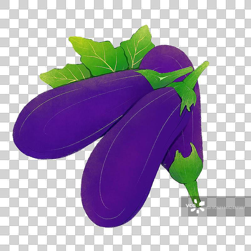 茄子图片素材