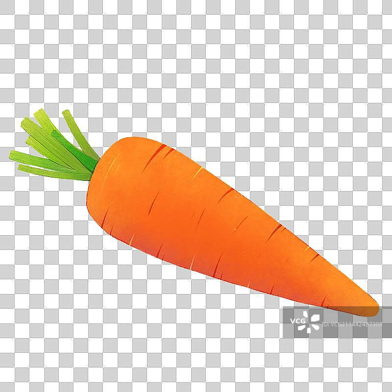 胡萝卜图片素材