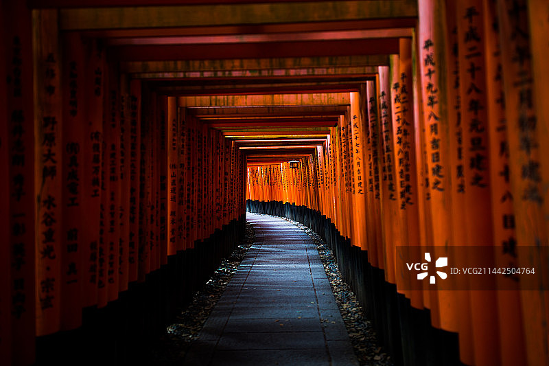日本京都伏见稻社神社鸟居图片素材