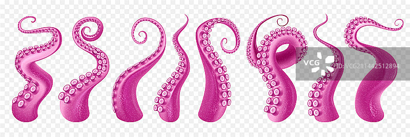 透明章鱼触须素材图片素材