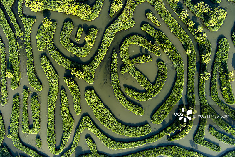 大纵湖水上迷宫图片素材
