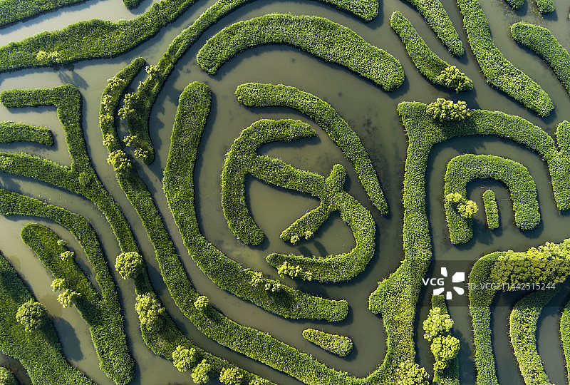 大纵湖水上迷宫图片素材