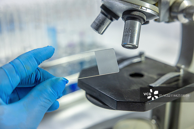 实验室工作者正在做实验图片素材