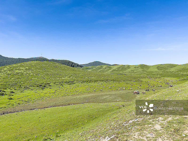 甘肃省甘南当周草原图片素材