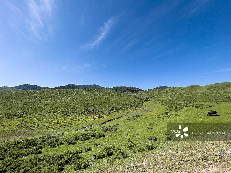 甘肃省甘南当周草原图片素材