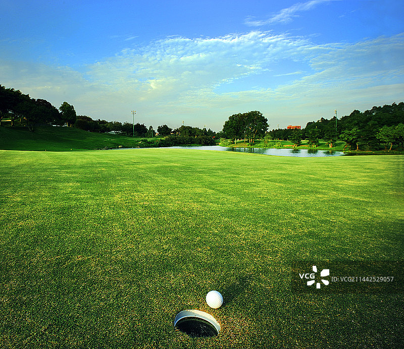 芳草萋萋、碧水蓝天，高尔夫球场里的风景美如画图片素材