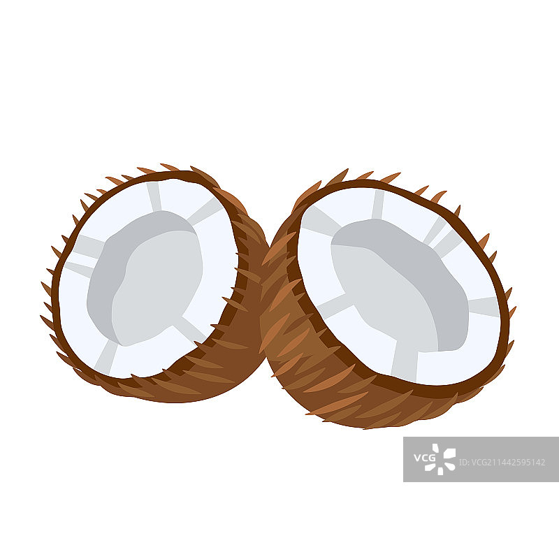 白色背景上的椰子图标图片素材